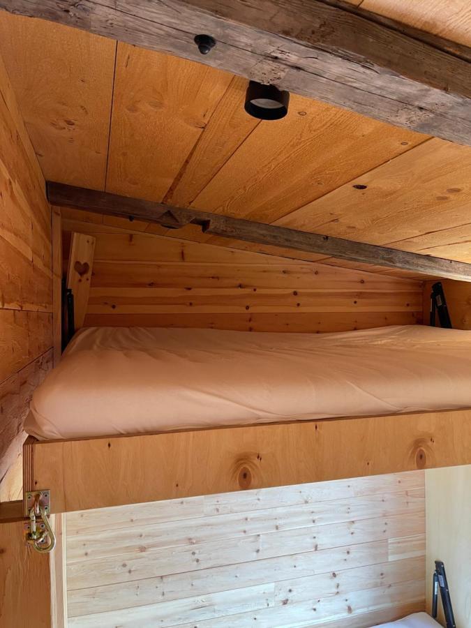 Chaleny - Das Erste Tiny House Chalet Im Zillertal هينزنبرغ المظهر الخارجي الصورة